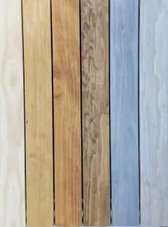 Accoya Adler Pullex Farbgebung