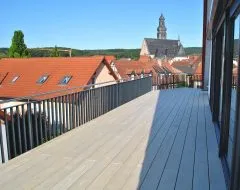 Accoya