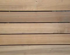 Kategoriebild Grad Thermo Pappel Terrassenholz