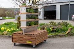 MobiGA Thorben Kebony Character