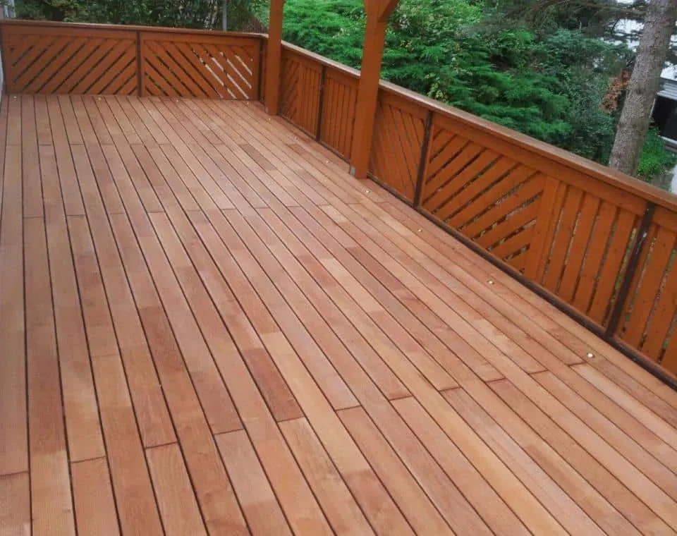 Robinie Terrasse