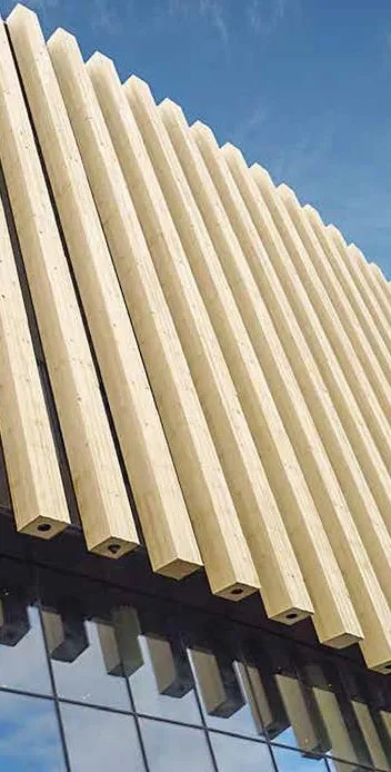 Accoya Konstruktionsholz TS 45x68x4200