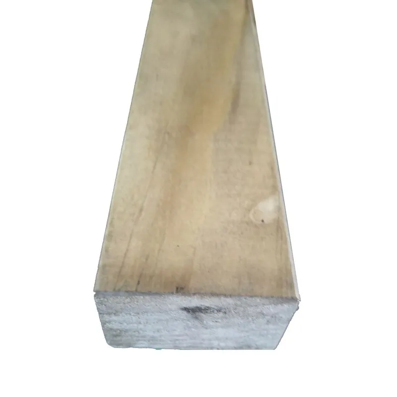 Accoya Konstruktionsholz TS 45x68x4800