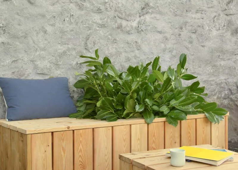 Arki Kit Pflanzbank Do-it-yourself